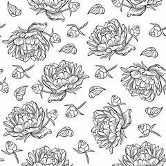 Floral seamless pattern with outlines peonies.