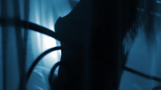 Portrait silhouette, of young sensual seductive passionate young woman makes love. Unrecognised Person