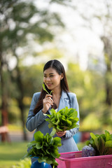 Fototapeta premium Business women and vegetable growing businesses