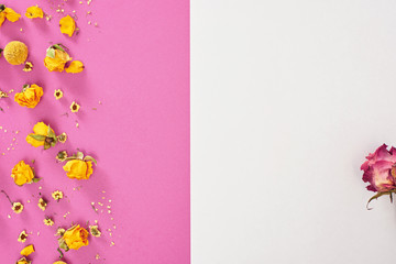 Empty white paper blank on pink background with dried rose flowers . Flat lay, top view, mock up.