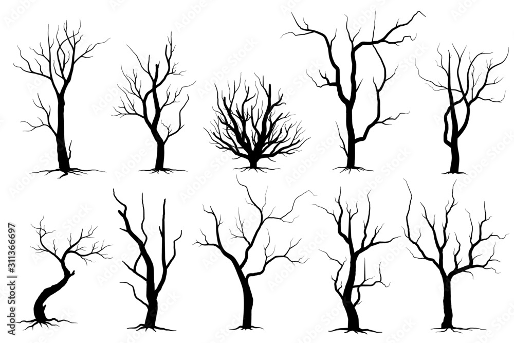 Wall mural silhouette of tree