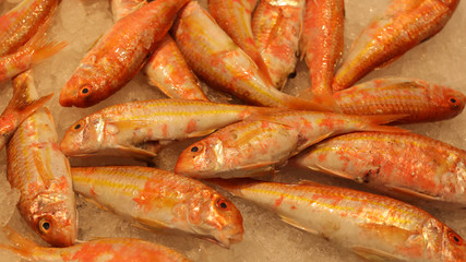 Mercado de la Esperanza, Santander, Cantabria, Espa&ntilde;a.
