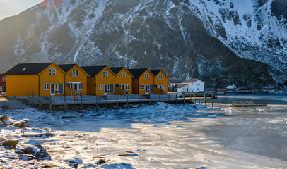 Yellow houses in Ballstad Lofoten