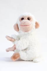 Fototapeta premium A monkey for kids