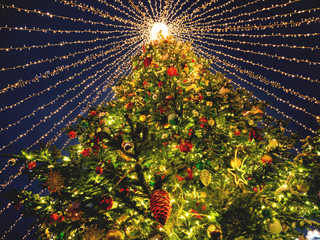 Bottom view on giant Christmas tree on Manezhnaya square in Moscow, Russia. Decorated fir tree for...