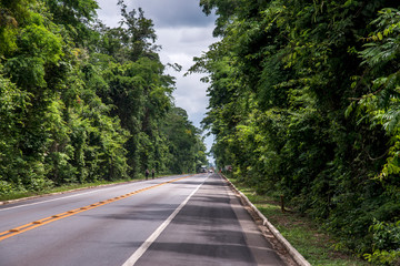  Highway photographed in Linhares, Espirito Santo. Southeast of Brazil. Atlantic Forest Biome. Picture made in 2014.