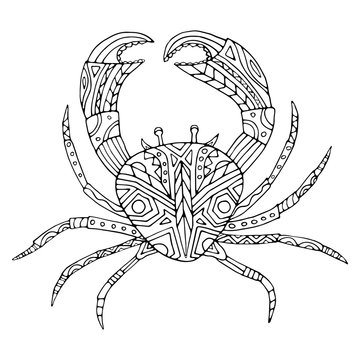 Hand drawn adult coloring page with crab on white background. Vector illustration. Abstract marine pattern. One of a series of painted pictures.