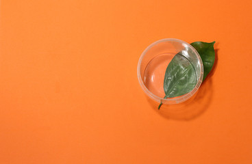 Plastic jar and green leaf on an orange background