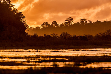Macuco Lagoon photographed in Linhares, Espirito Santo. Southeast of Brazil. Atlantic Forest Biome. Picture made in 2014.