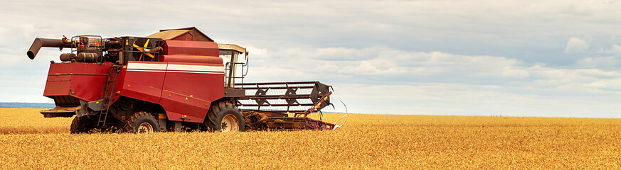 Fototapeta premium Combine harvester working on a wheat field. Seasonal harvesting the wheat. Agriculture. Panoramic banner.
