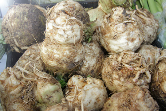 Celery root full frame photo. Celery root close up.