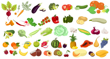 Set of fruits and vegetables isolated on a white background. Vector graphics.
