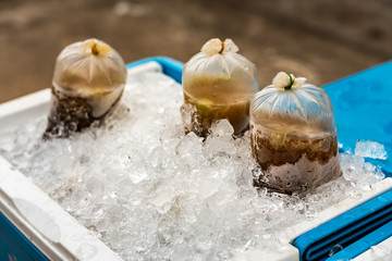 Cold herbal drink bags placed on ice for sale