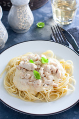Spaghetti with chicken and cheese sauce on a white plate, selective focus