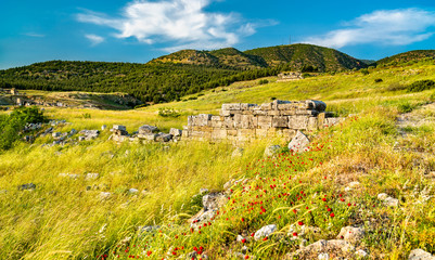 Fototapeta na wymiar Hierapolis-Pamukkale archaeological site in Turkey