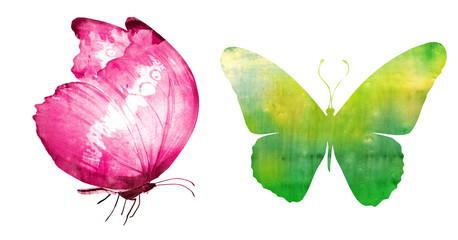 Two watercolor butterflies , isolated on white background