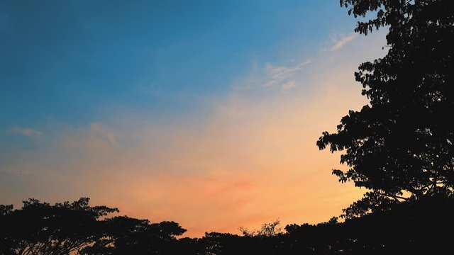 4K Time-lapse clouds sky day to night with siluate tree