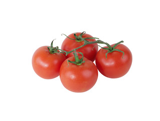 Tomatoes isolated in white background