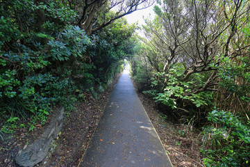 愛媛県伊方町　佐田岬灯台への遊歩道
