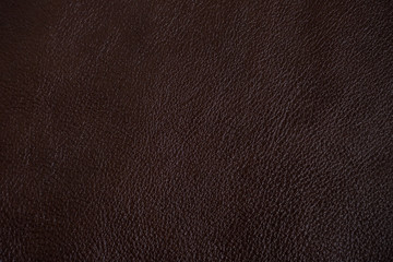 Fototapeta premium Genuine dark brown full grain leather texture