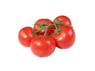 Tomatoes isolated in white background