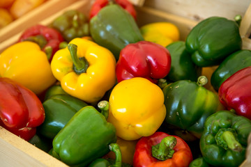 fresh vegetables on the market