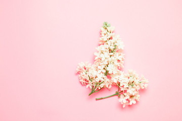 Top view minimal composition with white flower lilac branch on a pink background with place for text