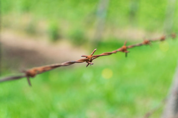 Selective focus photo of barbed wire fence in countryside