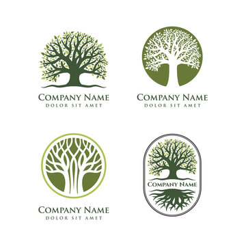 oak tree vector illustration logo design template. Abstract vibrant tree logo design