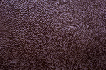 Fototapeta premium Genuine dark brown full grain leather texture