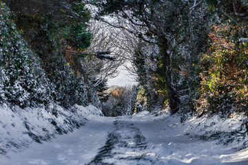 Fototapeta na wymiar path in the winter snow