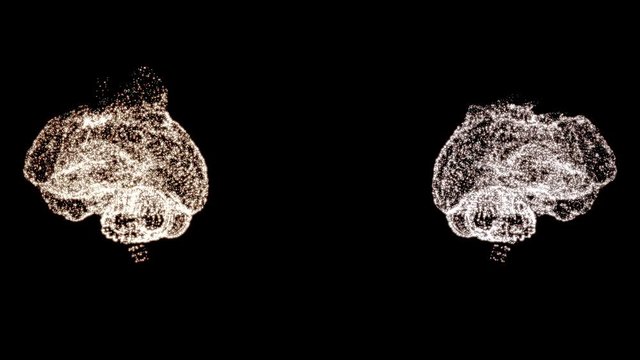 4k video of two abstract brain models under examination, rotating in space.