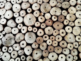 Log wood background