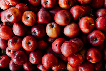lots of ripe red fruit apples for eating like a background