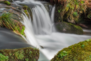 waterfall in the forest