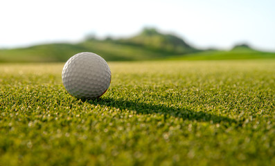 background of green grass