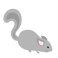 Cartoon chinchilla. Vector illustration on a white background. Drawing for children.