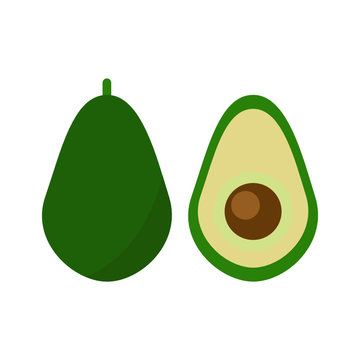 vector illustration of avocado