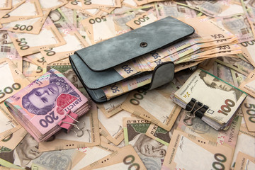 women's wallet money in cash Ukrainian hryvnia