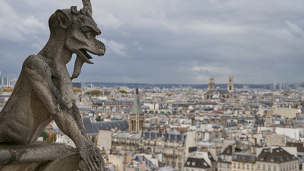Stone gargoyle on the roof of Notre Dame Cathedral in Paris, France. Overcast weather.