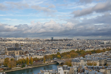 Panoramic view to the Paris and river Seine from the roof of Notre Dame cathedral, France. Cloudy weather. Autumn.      