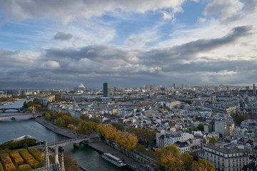 Fototapeta na wymiar Panoramic view to the Paris and river Seine from the roof of Notre Dame cathedral, France. Cloudy weather. Autumn. 