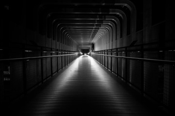black and white photography with high key filter. 