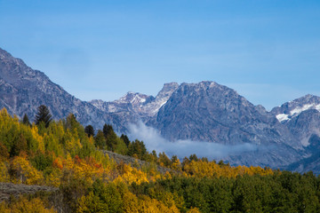 Snow Capped mountain and autumn trees