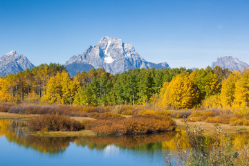 Snow Capped mountain with fall folage