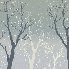 Winter Trees Background. Winter landscape with trees, snow. Snow In Forest.