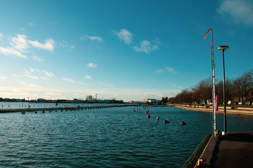 sea harbour in the european city 