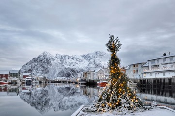 Christmas tree at Henningsvær Port
