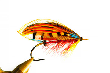Classic atlantic salmon fly close-up isolated Full-dress, close-up, isolated flyfishing © Sergei Elizarov
