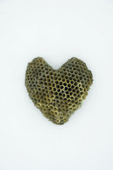 Heart shaped wasp honeycomb. Wax case  for posterity. Copy space. Close up. Vertical.